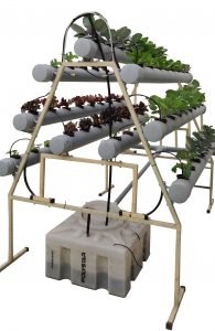 Hydroponics NFT System