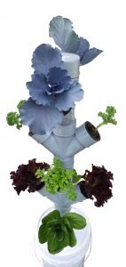 Vertical Hydroponics System